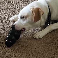 KONG Extreme Dog Toy