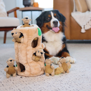 Outward Hound Hide-A-Squirrel Puzzle Toy