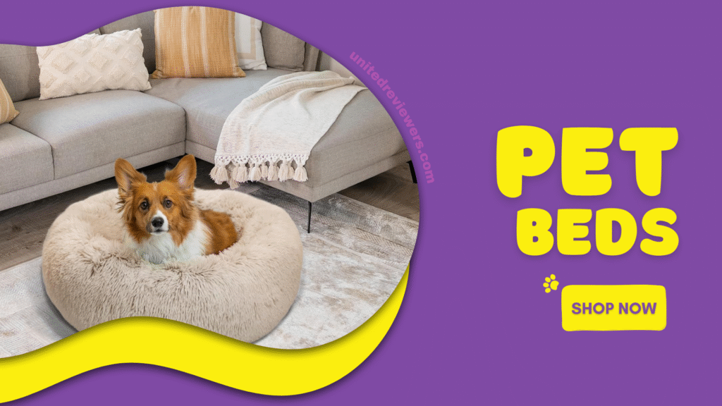 pet beds dog and cat