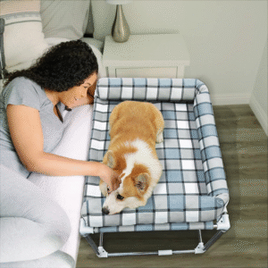 Modern Cat Bed (For Humans & Cats!)