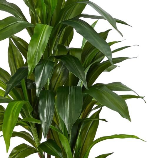Nearly Natural 48in Dracaena Silk Plant (Real Touch) Green - Image 10