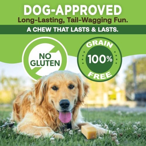 EcoKind Premium Gold Yak Cheese Himalayan Dog Chews, Dog Treats Large Breed, All Natural, High Protein, for Aggressive Chewers, Large - 4 Chews (1 lb) - Image 6
