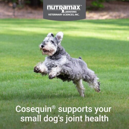Nutramax Laboratories Cosequin Plus MSM & Boswellia Mini Sized Soft Chews - Image 4