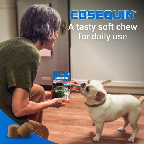 Nutramax Laboratories Cosequin Plus MSM & Boswellia Mini Sized Soft Chews - Image 5