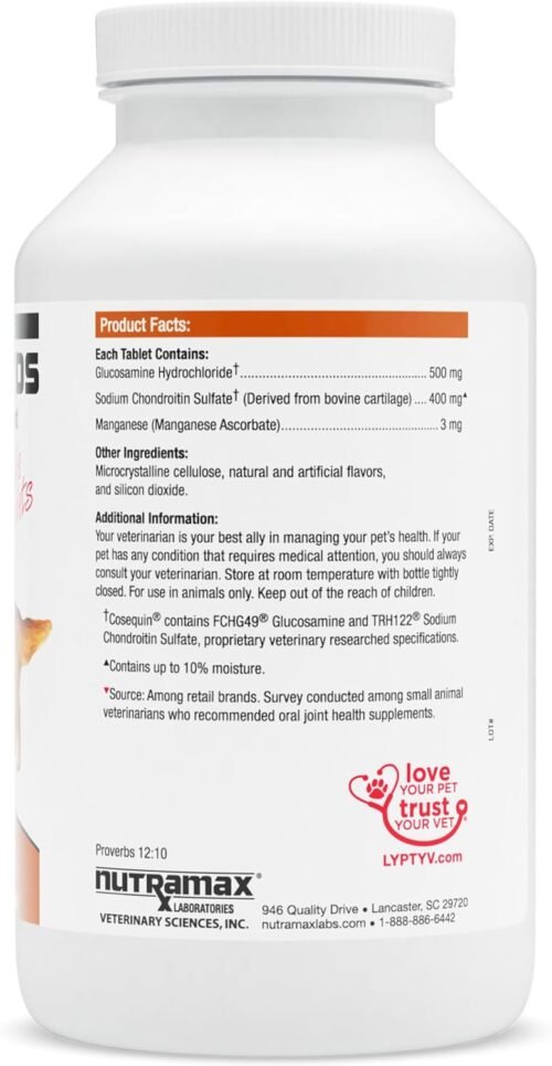 Nutramax Cosequin DS 250 Chews, 2-Pack - Image 3