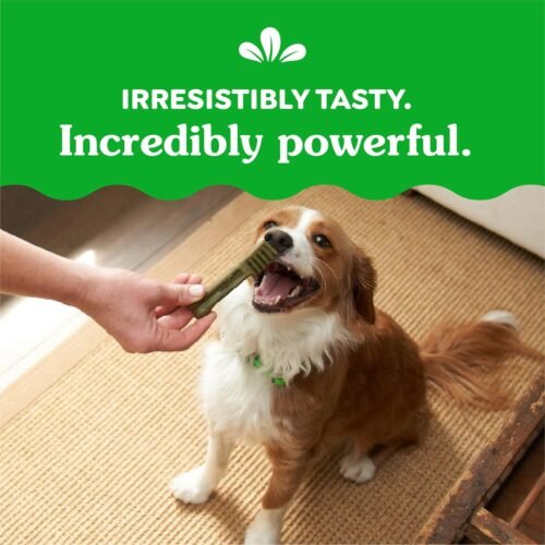 Greenies Original Petite Dental Dog Treats, 36 oz. Pack (60 Treats) - Image 10