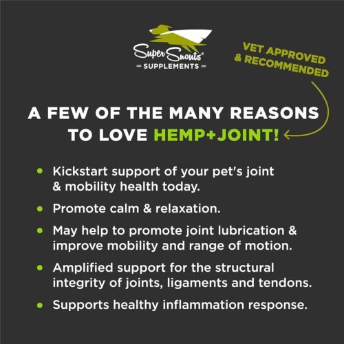 Super Snouts Hemp & Joint Chew for Dogs & Cats, 30 Chews (Up to 60 servings) – Made in USA Hip & Joint Supplement with Green Lipped Mussels, Hemp Helps Calms Joint Inflammation & Relief Joint Pain - Image 3