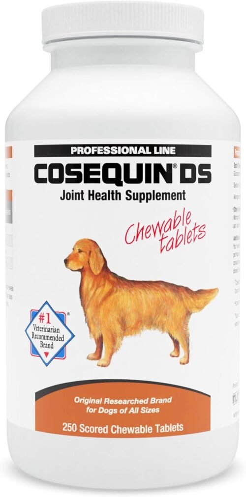 Nutramax Cosequin DS 250 Chews, 2-Pack - Image 2