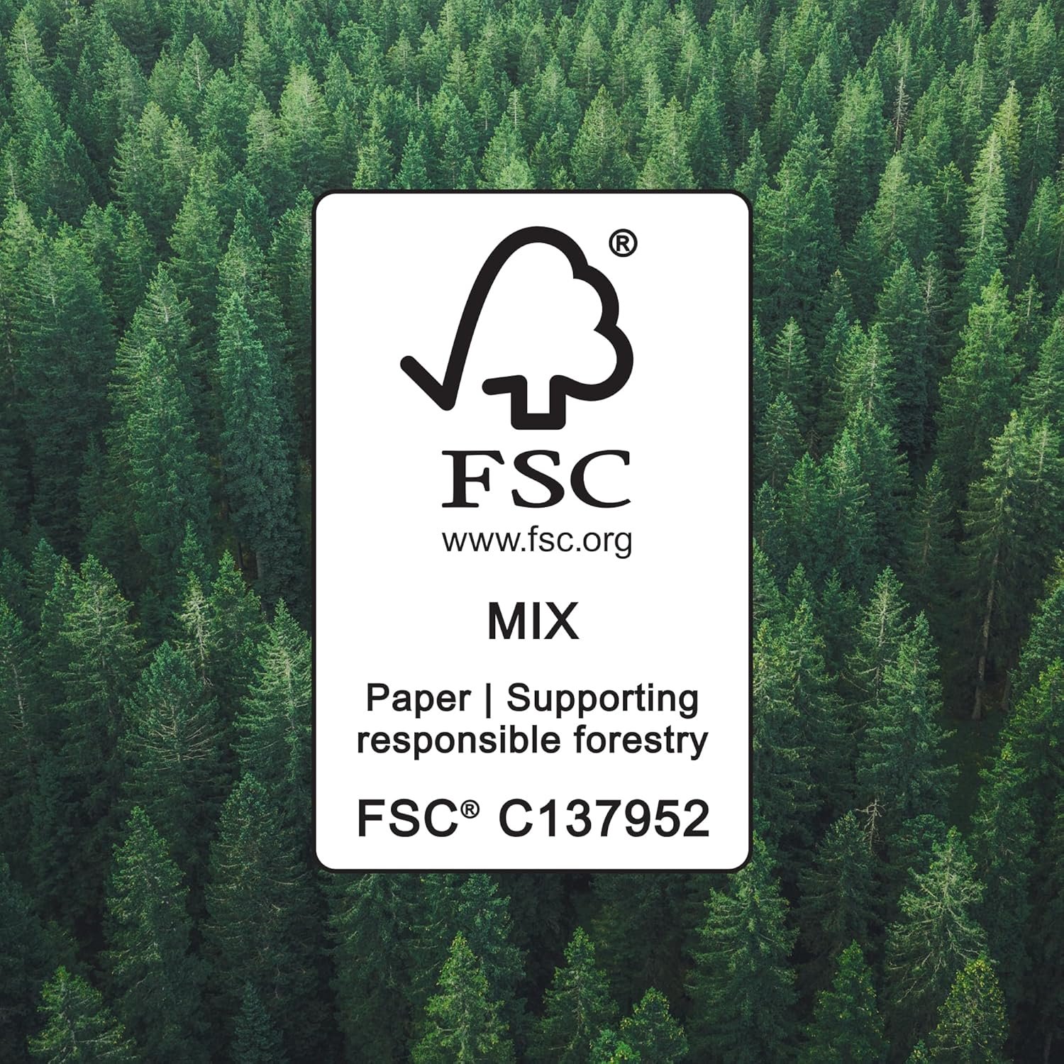 Amazon Basics 2-Ply Soft Toilet Paper, 30 Rolls (5 Packs of 6), Equivalent to 185 Regular Rolls, Packaging May Vary - Image 6