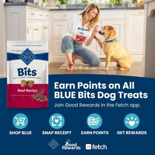 Blue Buffalo Bits Soft Dog Treats for Training, Made With Natural Ingredients & Enhanced with DHA, Beef Recipe, 19-oz Bag - Image 4