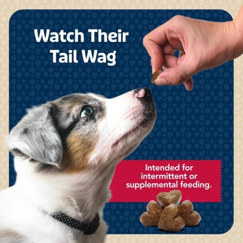 Blue Buffalo Bits Soft Dog Treats for Training, Made With Natural Ingredients & Enhanced with DHA, Beef Recipe, 19-oz Bag - Image 9