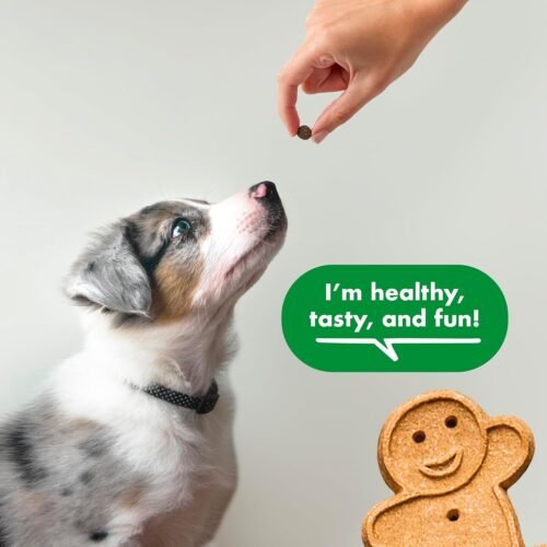 Buddy Biscuits Trainers 10 oz. Bag of Training Bites Soft & Chewy Dog Treats Made with Chicken Flavor - Image 5