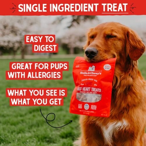 Stella & Chewy's Freeze-Dried Raw Beef Heart Dog Treats - Single Ingredient, No Additives - Premium Training Treats - Perfect For Picky Eaters - 3oz Bag - Image 3