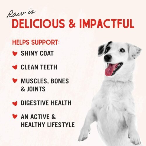 Stella & Chewy's Freeze-Dried Raw Beef Heart Dog Treats - Single Ingredient, No Additives - Premium Training Treats - Perfect For Picky Eaters - 3oz Bag - Image 6