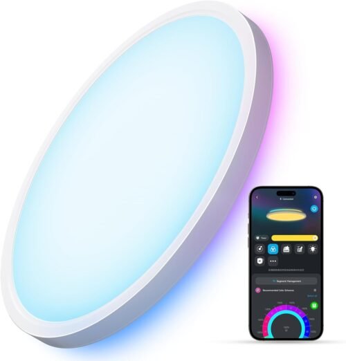 Govee Smart Ceiling Light, RGBIC LED Ceiling Light Fixture, 2400LM Flush Mount Light Fixture, DIY Colors, Works with Alexa, 2200K-6500K Ceiling Lights for Bedroom, Living Room, 12 Inch, 1 Pack - Image 2